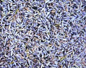 Lavender Flowers Buds - Lavandula angustifolia - Organic Dried Apothecary Wicca - Picture 1 of 3