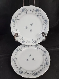 Johann Haviland Blue Garland China Bavaria Germany Dinner Plates Lot of 2 WOW! - Picture 1 of 11