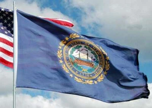 BANDIERA NEW HAMPSHIRE STATE 2x3ft nuova qualità superiore fade resist flag venditore USA - Foto 1 di 3