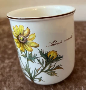 Villeroy & Boch,  Botanica, Saftbecher, Adonis vernalis (8) - Bild 1 von 4