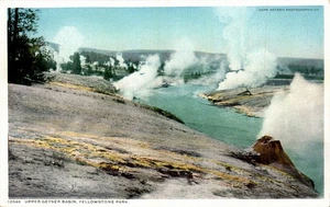 YELLOWSTONE NATIONAL PARK WYOMING - Upper Geyser Basin, Detroit Publishing - Picture 1 of 2