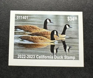 WTDstamps - 2022 CALIFORNIA - State Duck Stamp - Mint OG NH - Picture 1 of 2