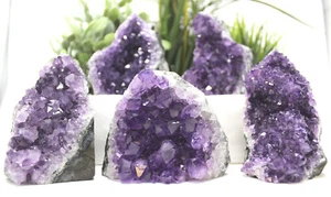 Stunning EXTRA LARGE Amethyst Cut Base Cluster Crystal Quartz Geode 12 oz - 1 lb - Picture 1 of 11