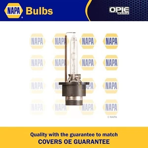 Napa Scheinwerfer Birne 42V 35W P32D-5 D4S FS1 NBU142402 - OE Qualität Leistung - Bild 1 von 2
