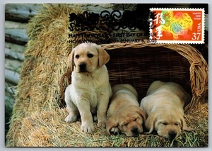 3895k Chinese Lunar New Year Dog FDC Maxi Card - Picture 1 of 2