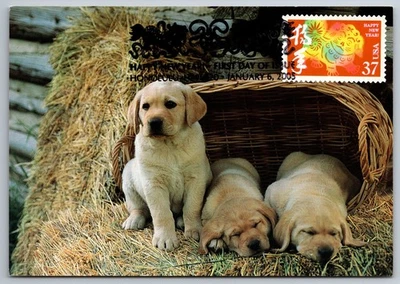 3895k Chinese Lunar New Year Dog FDC Maxi Card - Image 1 of 2