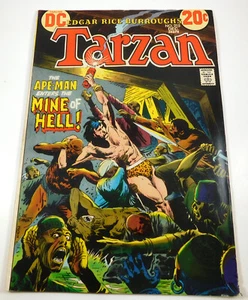 Vintage 1972 Tarzan The Apeman Enters The Mine of Hell! No. 215 DC Comic Book - Picture 1 of 9