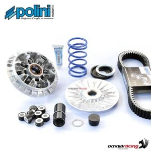 Polini Juego Completo Hi-Speed Evolution Variator 8 Ruedas Yamaha Tmax 530 17-19 - Imagen 1 de 5