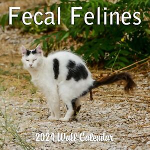 2024 Fecal Felines Crapping Cats Monthly Wall Calendar 2024
