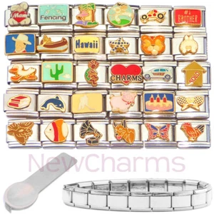 Set of 30 Italian Charms as Pictured with Charm Tool and Starter Bracelet MIX107 - Picture 1 of 2