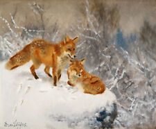 Bruno Liljefors Two Foxes In A Winter Landscape Canvas Print 16 x 20