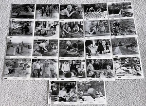 DISNEY-BIG RED-22 ORIGINAL 1962 MOVIE STILLS-BLACK & WHITE-8X10-WALTER PIDGEON - Picture 1 of 1