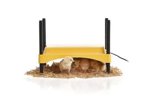 Brinsea Eco Glow 20 Safety 600 Chick Brooder Heater for 20 Newly Hatched Chicks - Picture 1 of 9