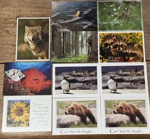 NATURE & WILDLIFE Note Cards~Lot of 11~NO ENVELOPES Assorted Brands - Picture 1 of 12