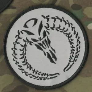 PRIVATE MILITARY CONTRACTOR PMC DIPLOMATIC SECURITY DSS burdock PATCH: RAM SKULL - Picture 1 of 12