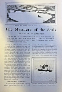 1901 Massacre of Alaskan Seals Behring Sea illustrated - Picture 1 of 5
