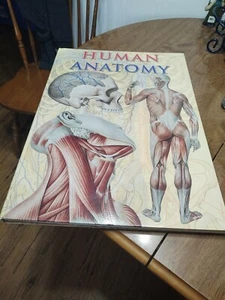 Human ANATOMY T@J Books 2002 16''x23'' 9lb 159 pages - Picture 1 of 5