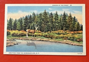 DENIZEN OF THE FOREST ~ GREETINGS FROM ADIRONDACKS ~ LOT OF FOUR LINEN POSTCARDS - Picture 1 of 2