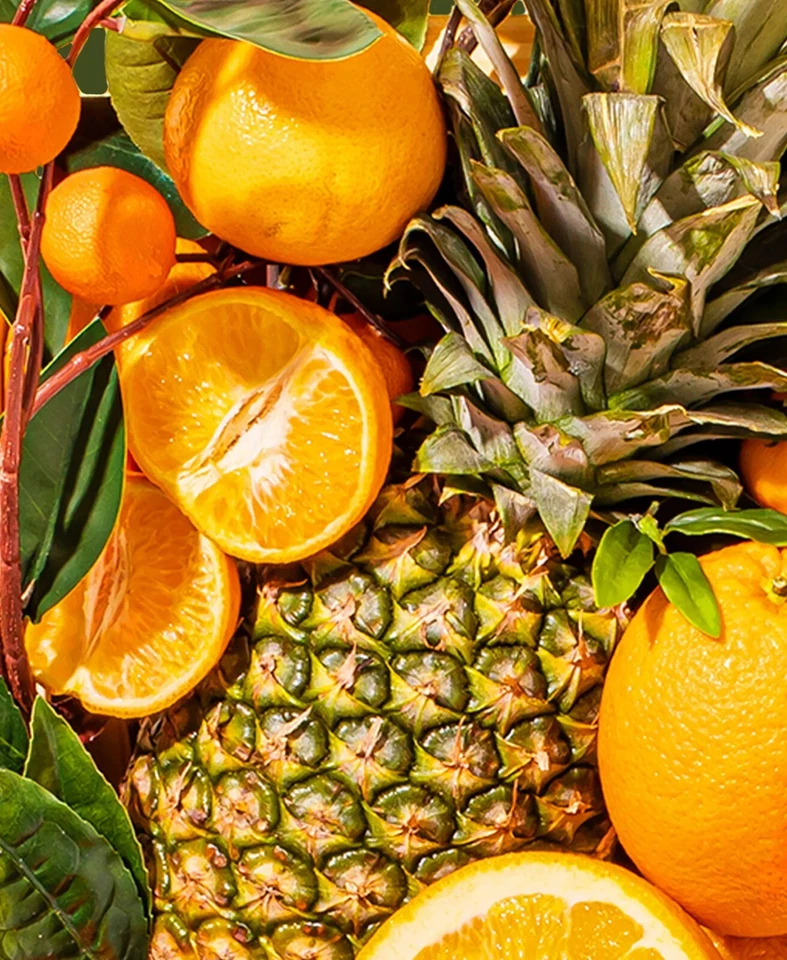 20 semillas de árbol cítrico naranja dulce de piña Foto 1 de 3