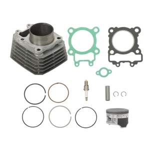 Cylinder Jug w/ New Piston & Top End Kit For 2003-2010 11 Kawasaki Bayou KLF 250 - Bild 1 von 9