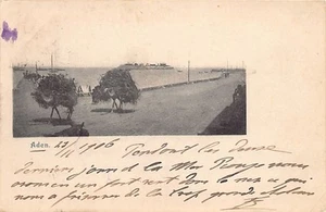 Yemen - ADEN - Camels laden with grass - Publ. unknown - Picture 1 of 2