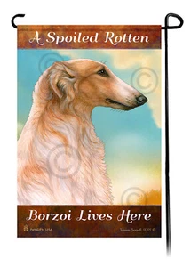 Un borzoi podrido (naranja y blanco) mimado vive aquí - Imagen 1 de 1