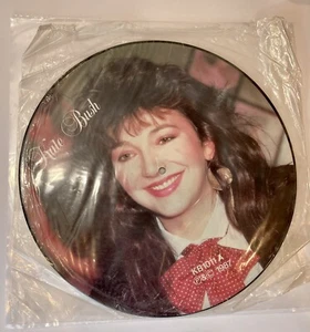Kate Bush - Interview Picture Disc LP - KB-1011 1987 UK Ltd. Sealed - Picture 1 of 5