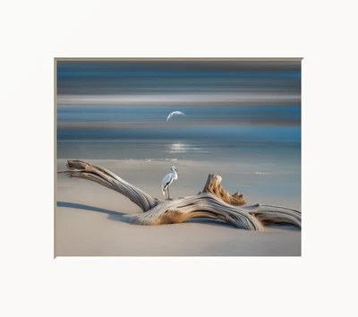 Blue Modern Coastal Ocean Driftwood Matted Print for Bathroom or Bedroom Walls - Image 1 of 4