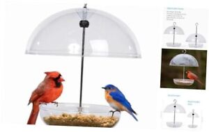 Bluebird Feeder -  Pearl Feeder Dome Bird Feeder for Small Birds - Large