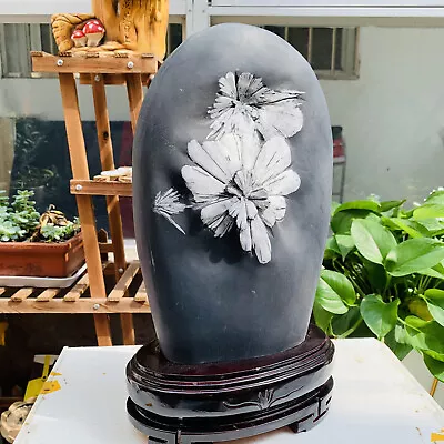 16.06LB Natural Chrysanthemum Stone Quartz Carved Halo Therapy Gift - Image 1 of 4