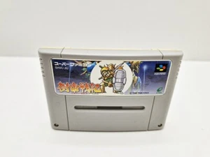 Jyutei Senki (En Loose) SUPER FAMICOM JAPAN VERSION - Bild 1 von 4