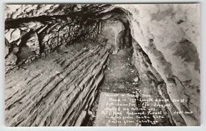 Cartolina RPPC Monarca o Tunnel Albero Vicino a Santa Rosa, CA - Foto 1 di 2
