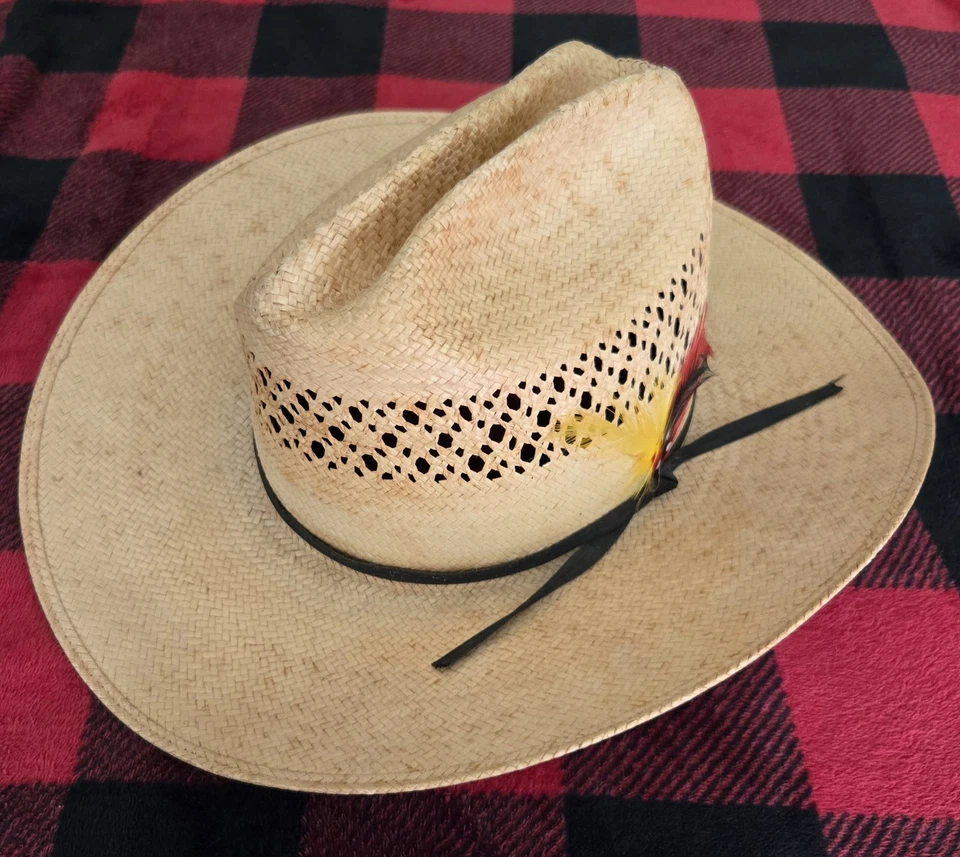 Chapéu de cowboy vintage STETSON palha ~ Tamanho 67/8 com penas vermelhas, amarelas e pretas 🪶  - Imagem 1 de 4