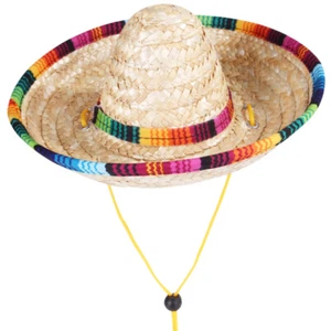 Sun Dog Cap Braid Hat Bucket Puppy Sombrero Party Hats Woven Clothing - Picture 1 of 12