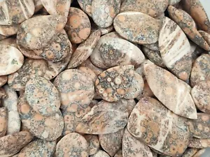 Natural Leopard Skin jasper Cabochon Gemstone Skin jasper Wholesale Lot 72297 - Picture 1 of 4