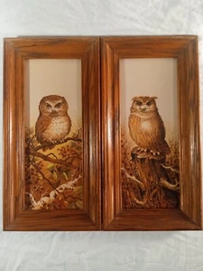 Set Of 2 Tree Owls Framed Windsor Art Product Brad 1970s Retro Vintage - Picture 1 of 11