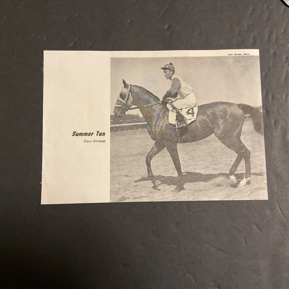 SUMMER TAN photo Horse Racing 1956 PIMLICO SPECIAL - Image 1 of 1