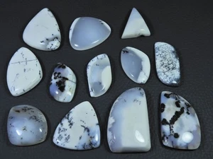 12Pcs Natural Dendrite Opal Fancy Shape Cabochon Loose Gemstone Lot 298cts. Q629 - Picture 1 of 9