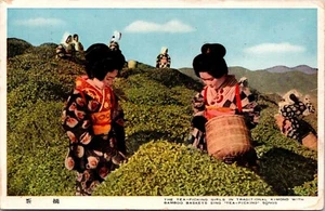Tea-Picking Girls in Traditional Kimono Japan Postcard - Picture 1 of 2