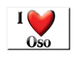 Oso Imán para nevera Nombre Idea de regalo Cumpleaños Graduación - Imagen 1 de 11