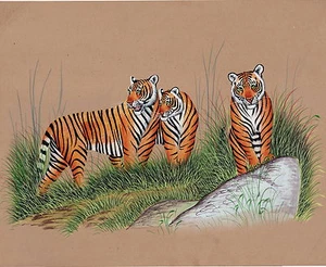 Bengal Tigers Handmade Painting Indian Miniature Wildlife Animal Watercolor Art - Picture 1 of 2