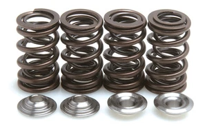 Honda XR400 KibbleWhite Titanium Valve Spring Springs & Retainers Kit 1996-2004 - Foto 1 di 1