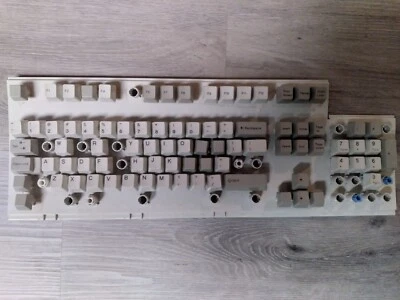 IBM Keyboard Model M - Part # 1391401 Replacement Keys - Image 1 of 4