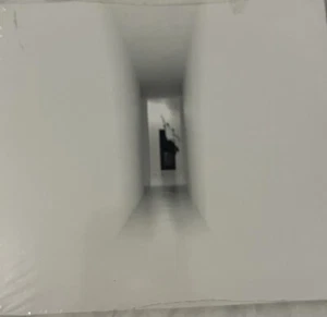 Dopamine by Third Eye Blind CD 2015 New - Bild 1 von 2