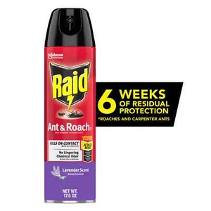 Raid Ant & Roach Killer Spray For Listed Bugs Lavender Scent, 17.5 oz - Picture 1 of 11