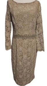 Vestido Jackie Jon New York Mujer Champagne Encaje Manga 3/4 Cuentas, Talla 12 Formal - Imagen 1 de 4