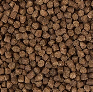 Koifutter Sinkfutter *Winter Condition* 5 kg Herbst, Winterfutter, sinkend 6 mm - Bild 1 von 1