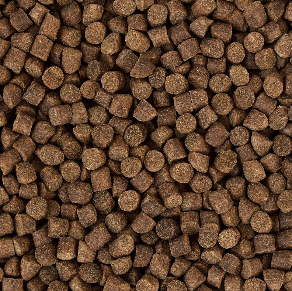 Koifutter Sinkfutter *Winter Condition* 5 kg Herbst, Winterfutter, sinkend 6 mm - Bild 1 von 1