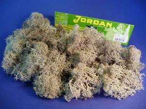 Jordan ISLANDMOOS grau MULTI-PACKUNG mit 160g 67A-2 - Bild 1 von 2