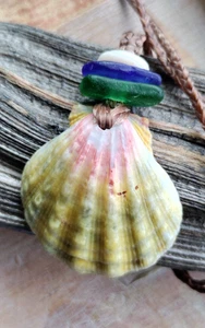 Sunrise Shell & Blue Sea Glass Braided Necklace man or woman Teen Hawaiian Puka - Picture 1 of 7